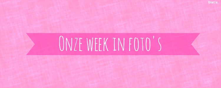 PERSONAL: ONZE WEEK IN FOTO’S #37