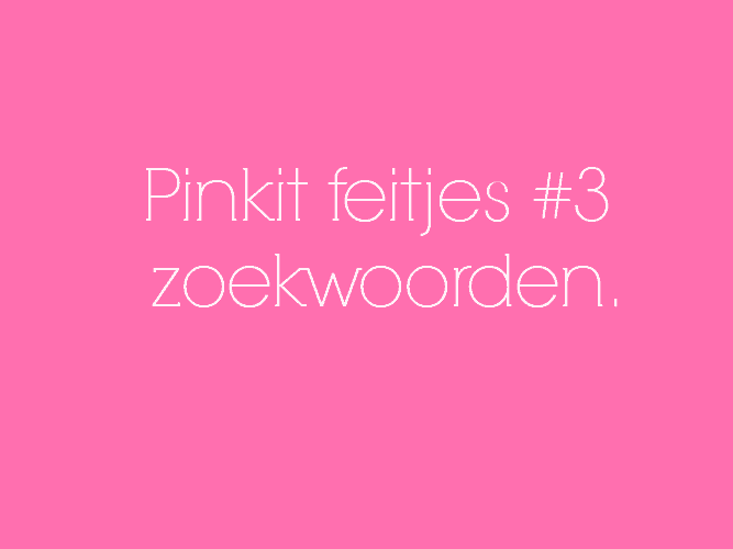 PINKIT FEITJES #3 ZOEKWOORDEN