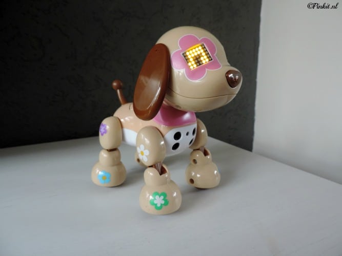 zoomer2