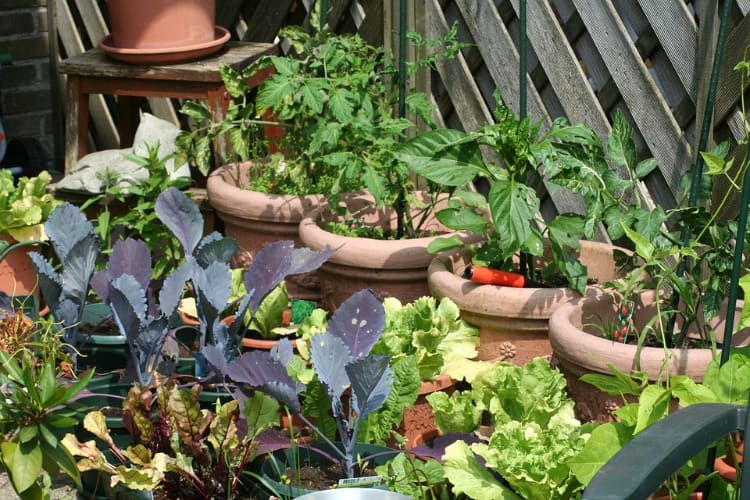 LIFESTYLE | EEN MOESTUIN OP HET DAK?