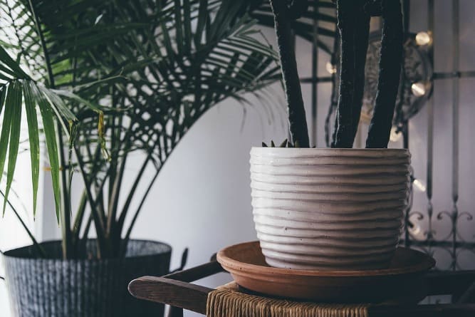 HOME | FLEUR JE INTERIEUR OP MET PLANTEN