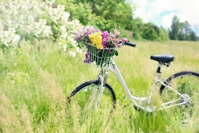 IK DOE BIJNA ALLES OP DE FIETS…