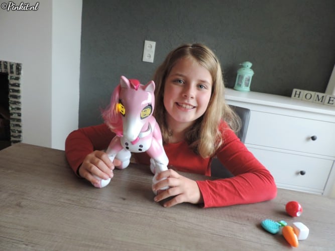 KIDS | ZOOMER SHOW PONY