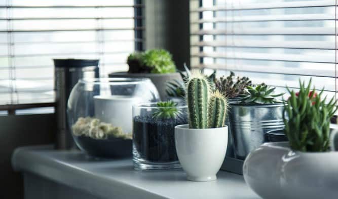 LIFESTYLE | DIT STAAT ER OP MIJN HOME WISHLIST