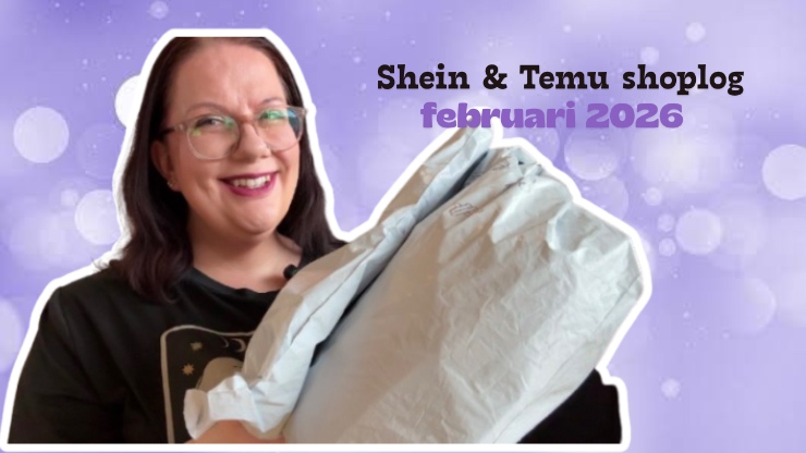 Creatieve Shein & Temu shoplog